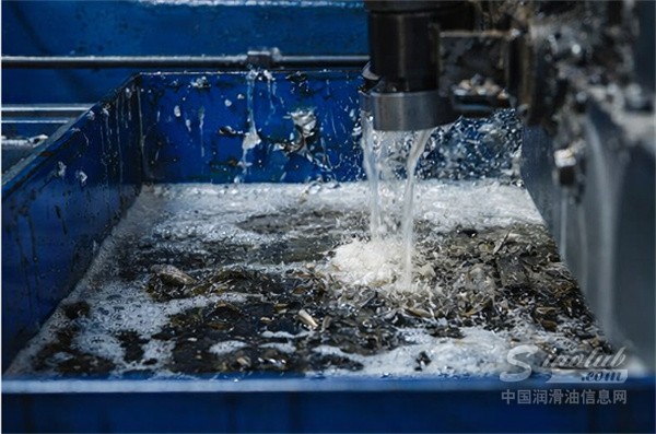 1774840748146706.jpg 微信图片_20260330111546_2321_13.jpg