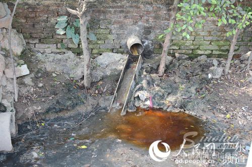 窝点污水任意排放污染环境。来源：广州市公安局