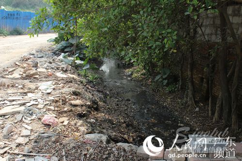 “黑作坊”排出的污水将附近的水和环境染成一片“黑色”。来源：广州市公安局