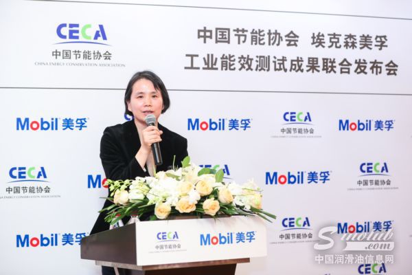 中国节能协会高级顾问、中节能工程技术研究院总工许泓致辞