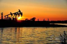 欧洲基础油: 停产将收紧供应