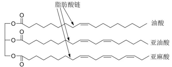 科普 | 植物油基润滑油基础油及添加剂的