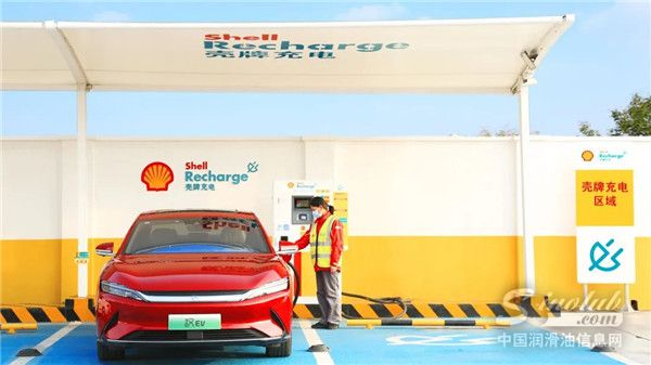 壳牌与比亚迪在中国和欧洲开展电动汽车充电