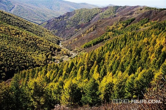 马石油 越野e族