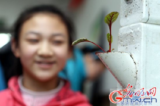 壳牌 美境行动
