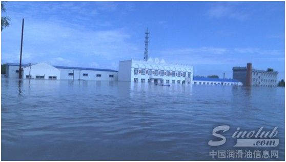 龙蟠号召全国经销商捐款援建东北受灾小学