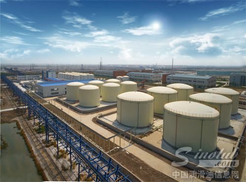 林献石化企业全景