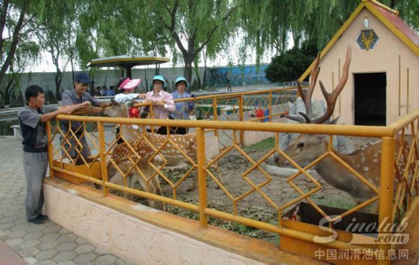 朝鲜天池润滑油厂